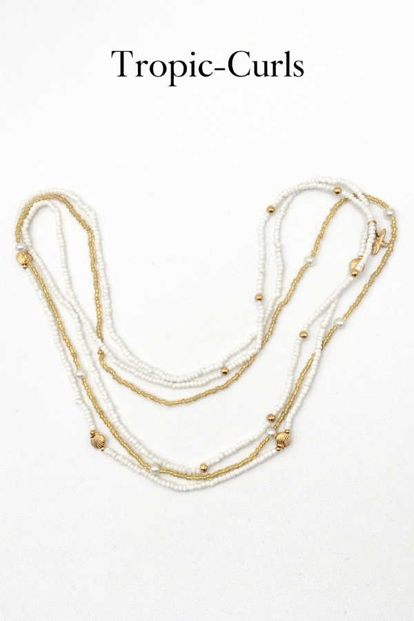 Coquillage De Marée